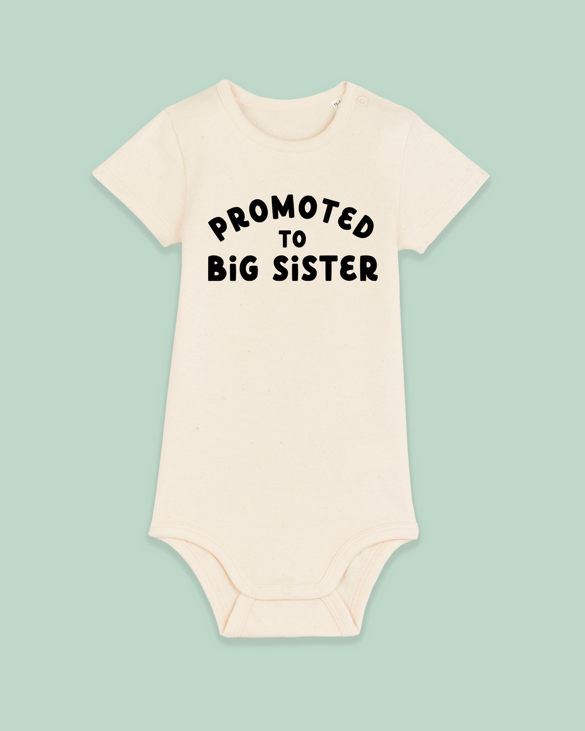 Baby Bodysuit | Promoted To Big Sister