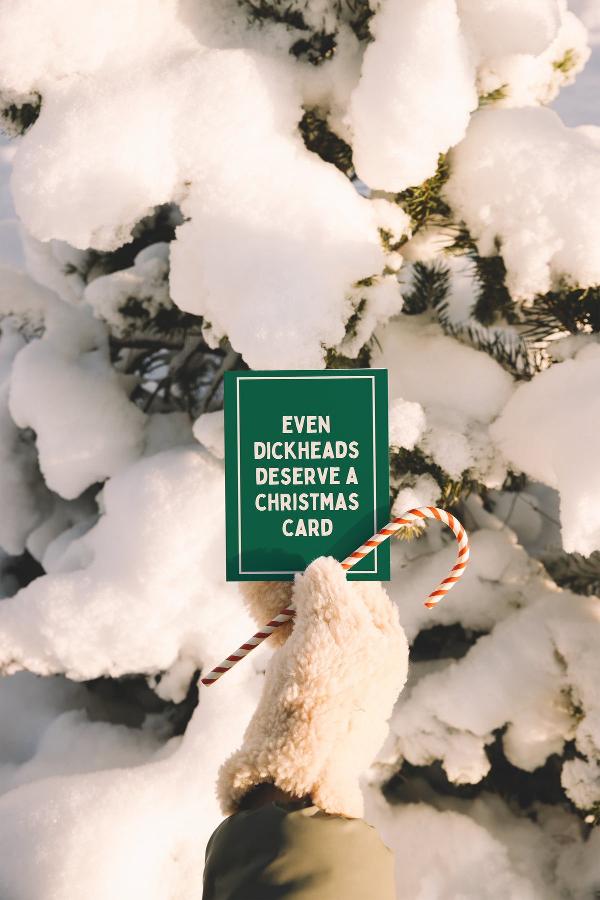 Even Dickheads Deserve A Christmas Card | Christmas Card