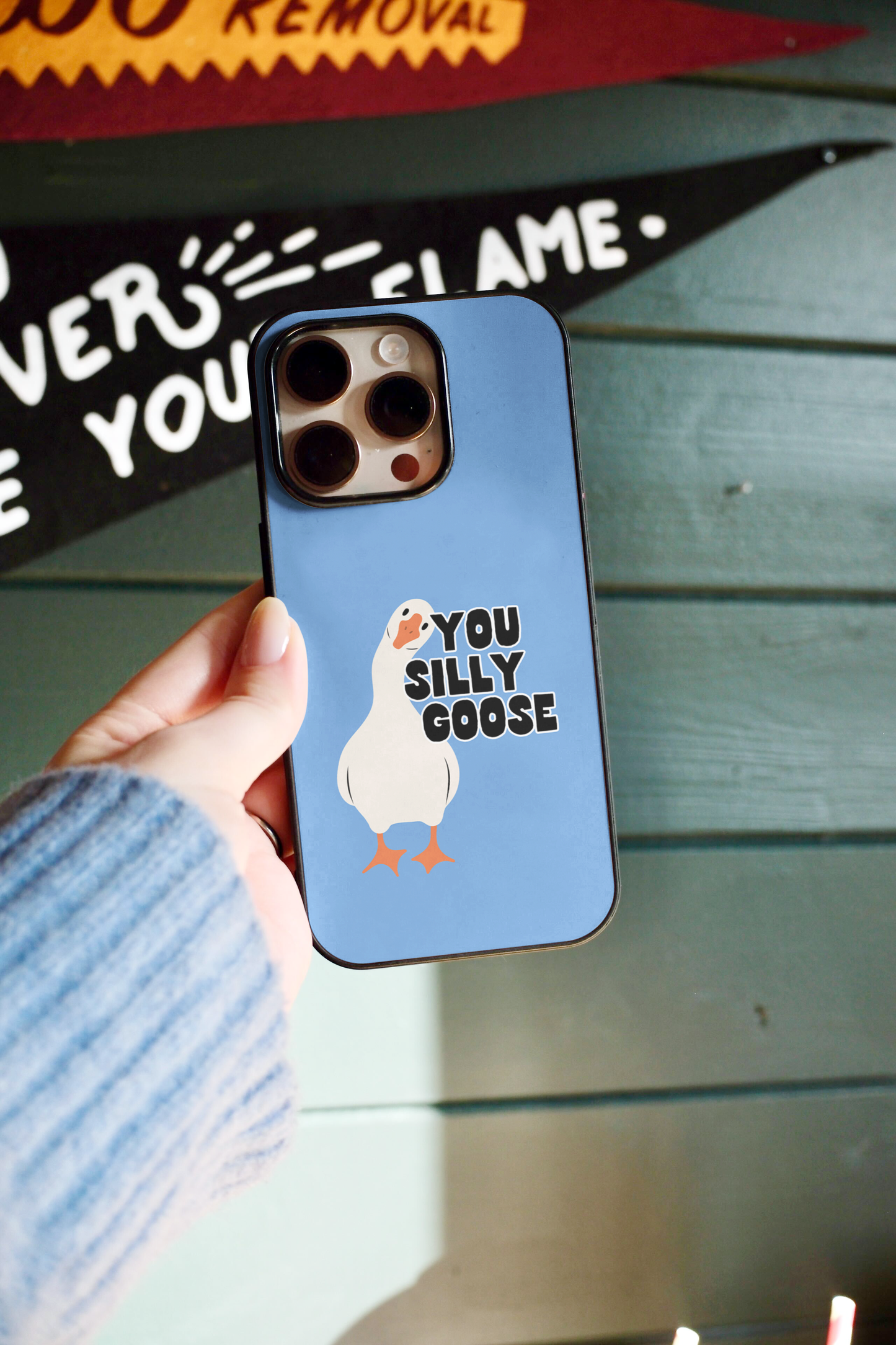 You Silly Goose | Phone Case