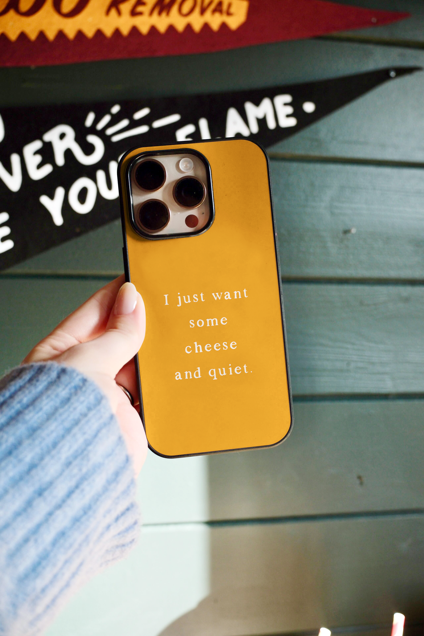 I Just Want Some Cheese And Quiet | Phone Case
