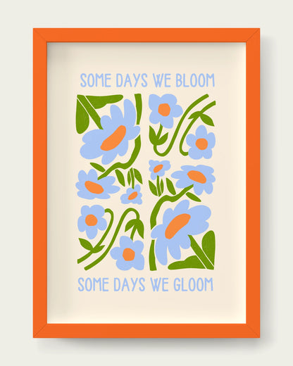 Cornflower/Orange