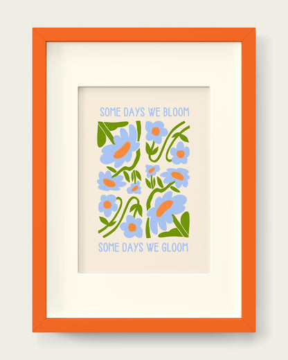 Cornflower/Orange+mount