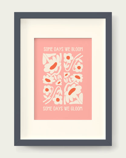 Peach/Dark Grey+mount