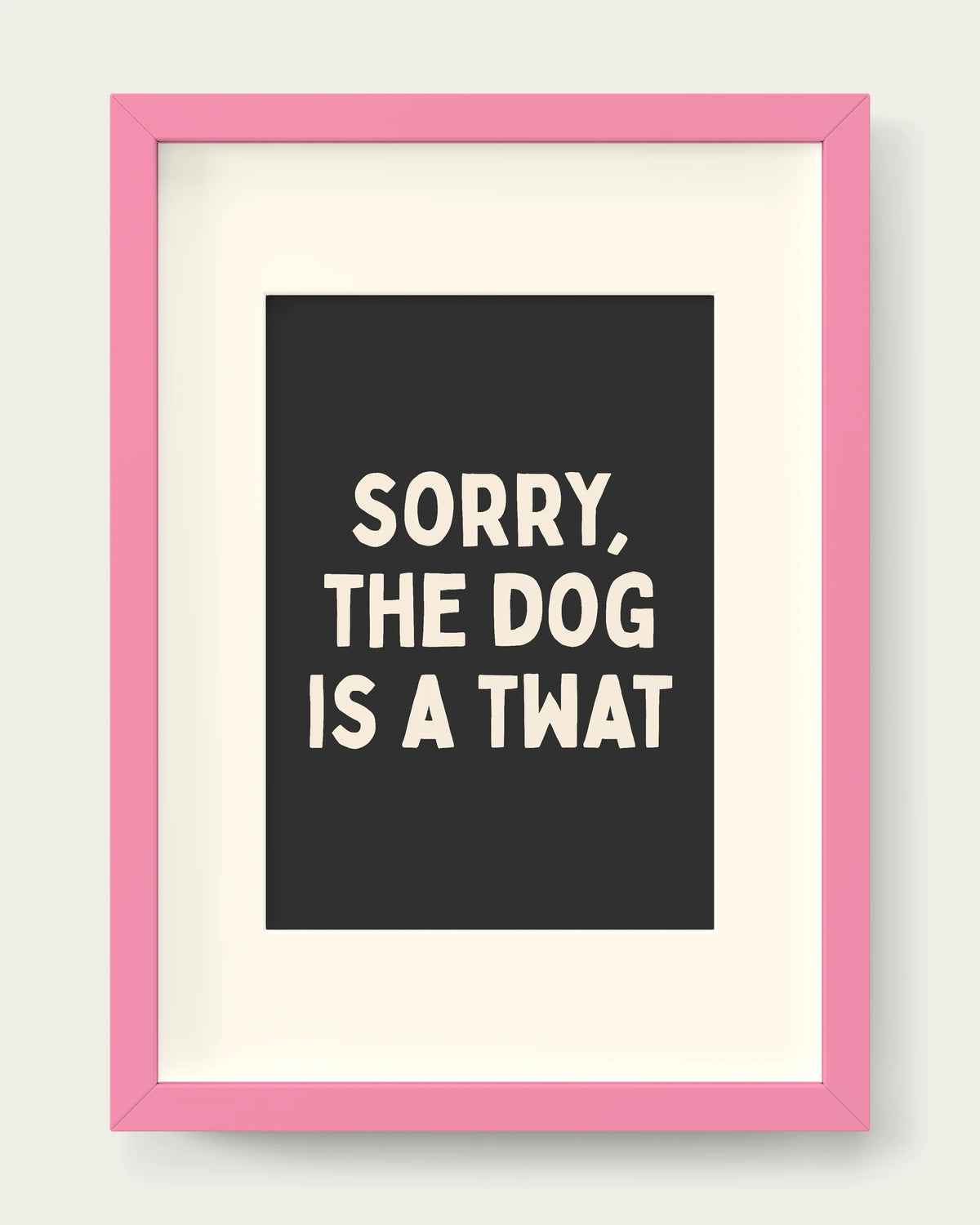 Charcoal/Pink+mount