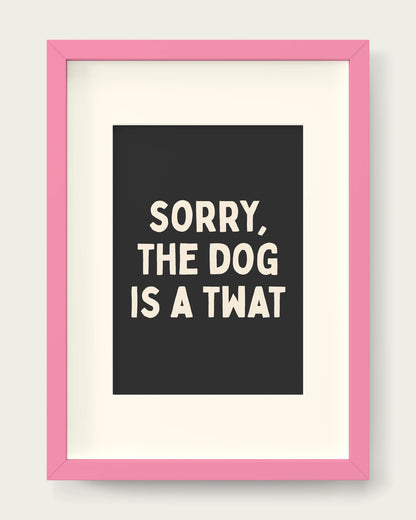 Charcoal/Pink+mount