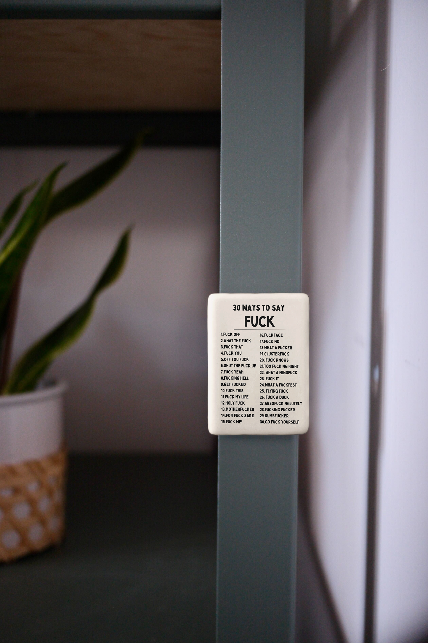 30 Ways To Say Fuck | Ceramic Magnet