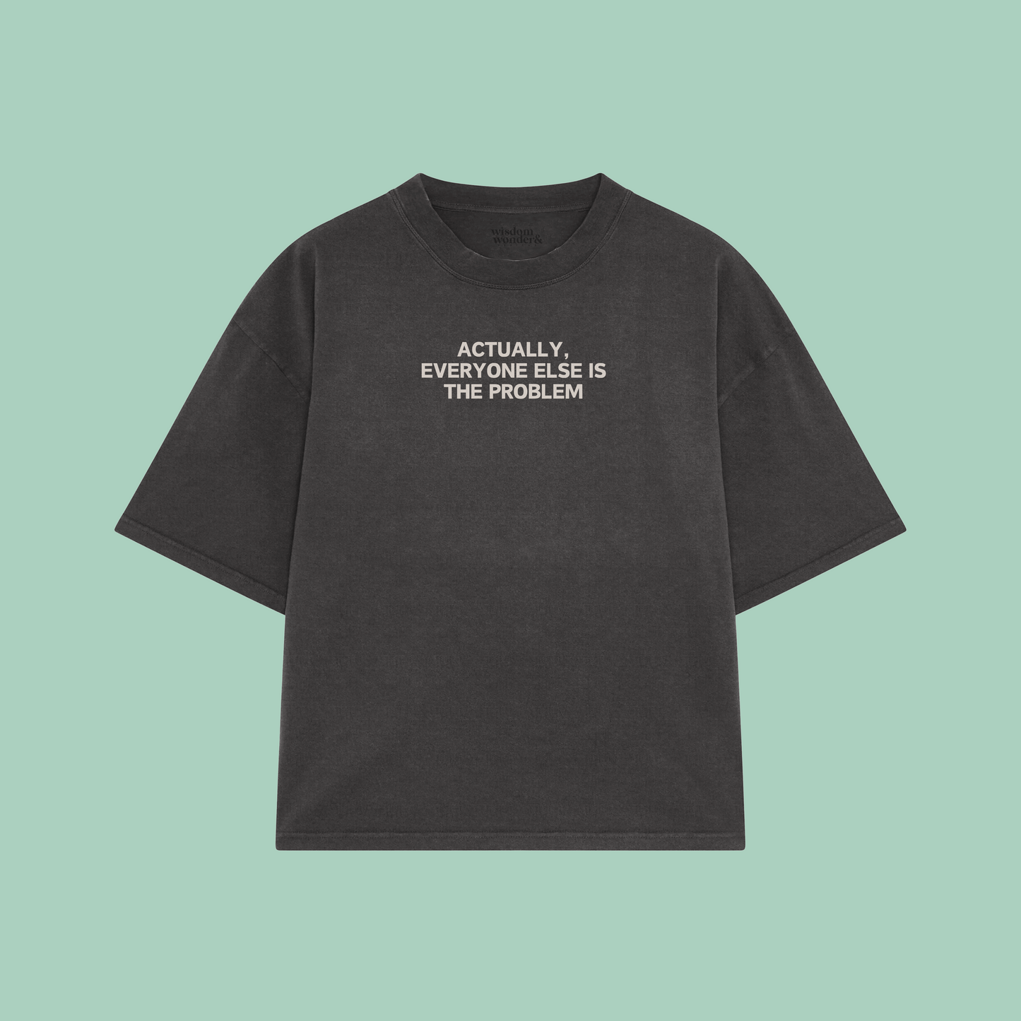 Actually, Everyone Else Is The Problem | Boxy T Shirt