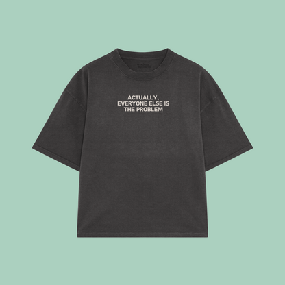 Actually, Everyone Else Is The Problem | Boxy T Shirt