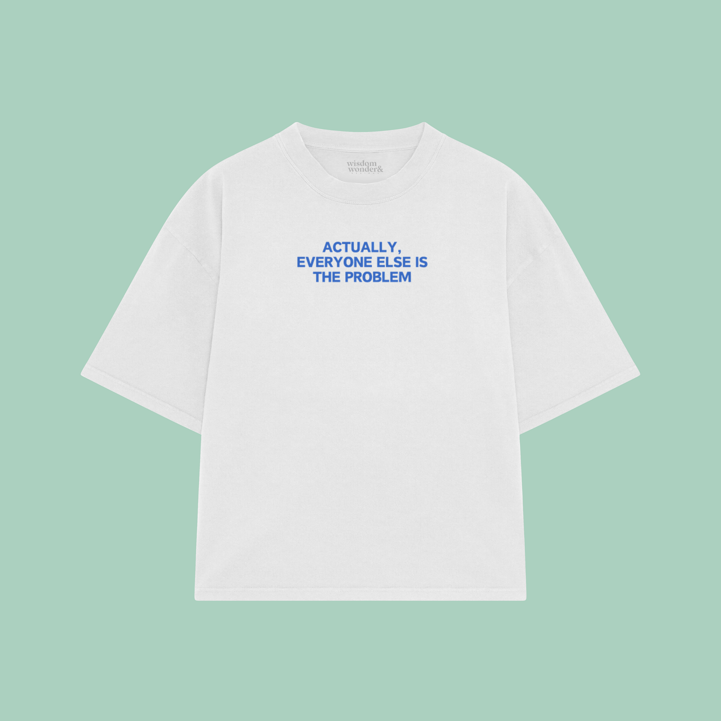 Actually, Everyone Else Is The Problem | Boxy T Shirt