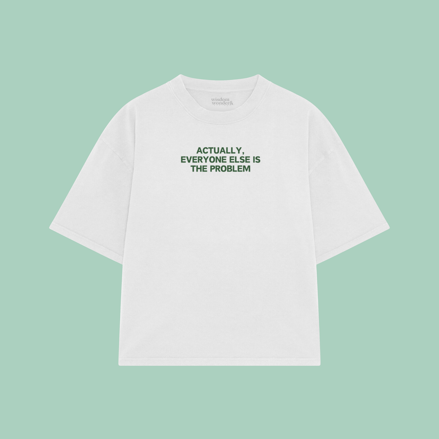 Actually, Everyone Else Is The Problem | Boxy T Shirt