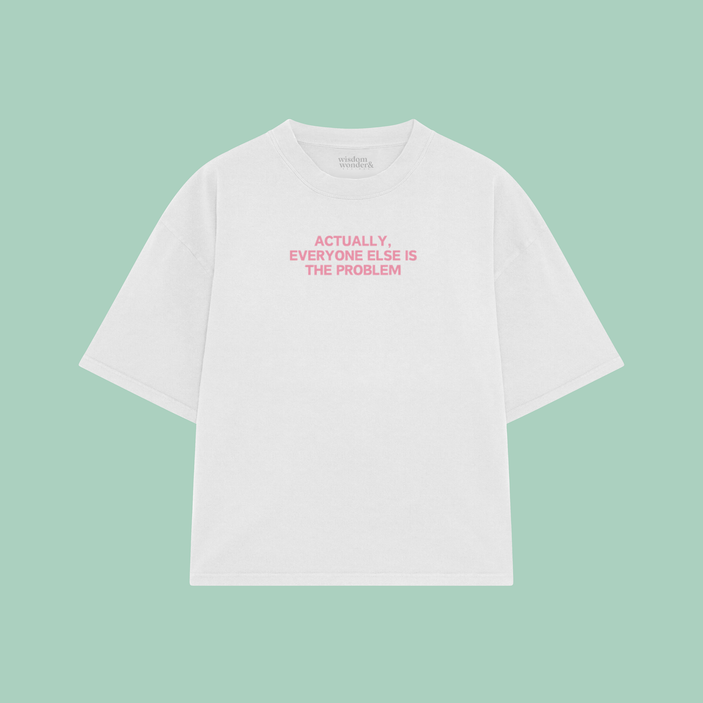 Actually, Everyone Else Is The Problem | Boxy T Shirt