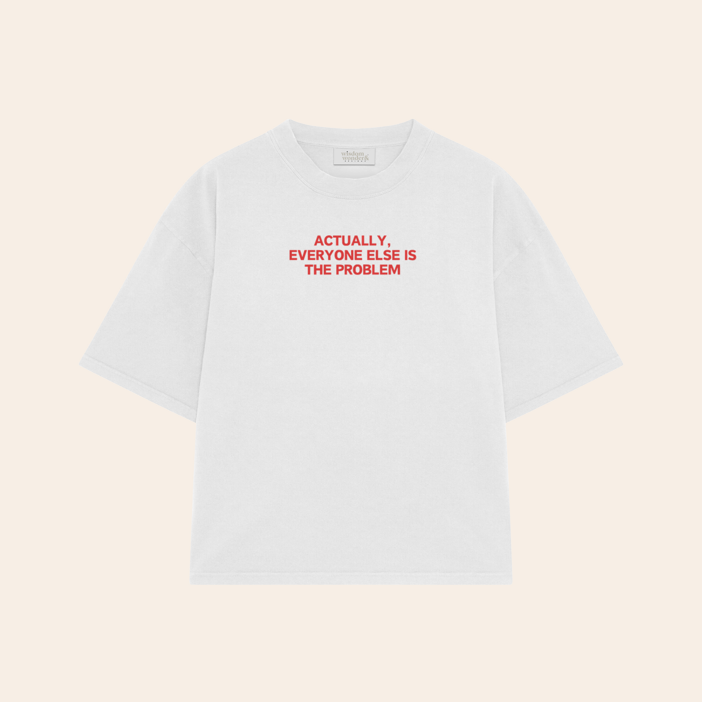 Actually, Everyone Else Is The Problem | Boxy T Shirt