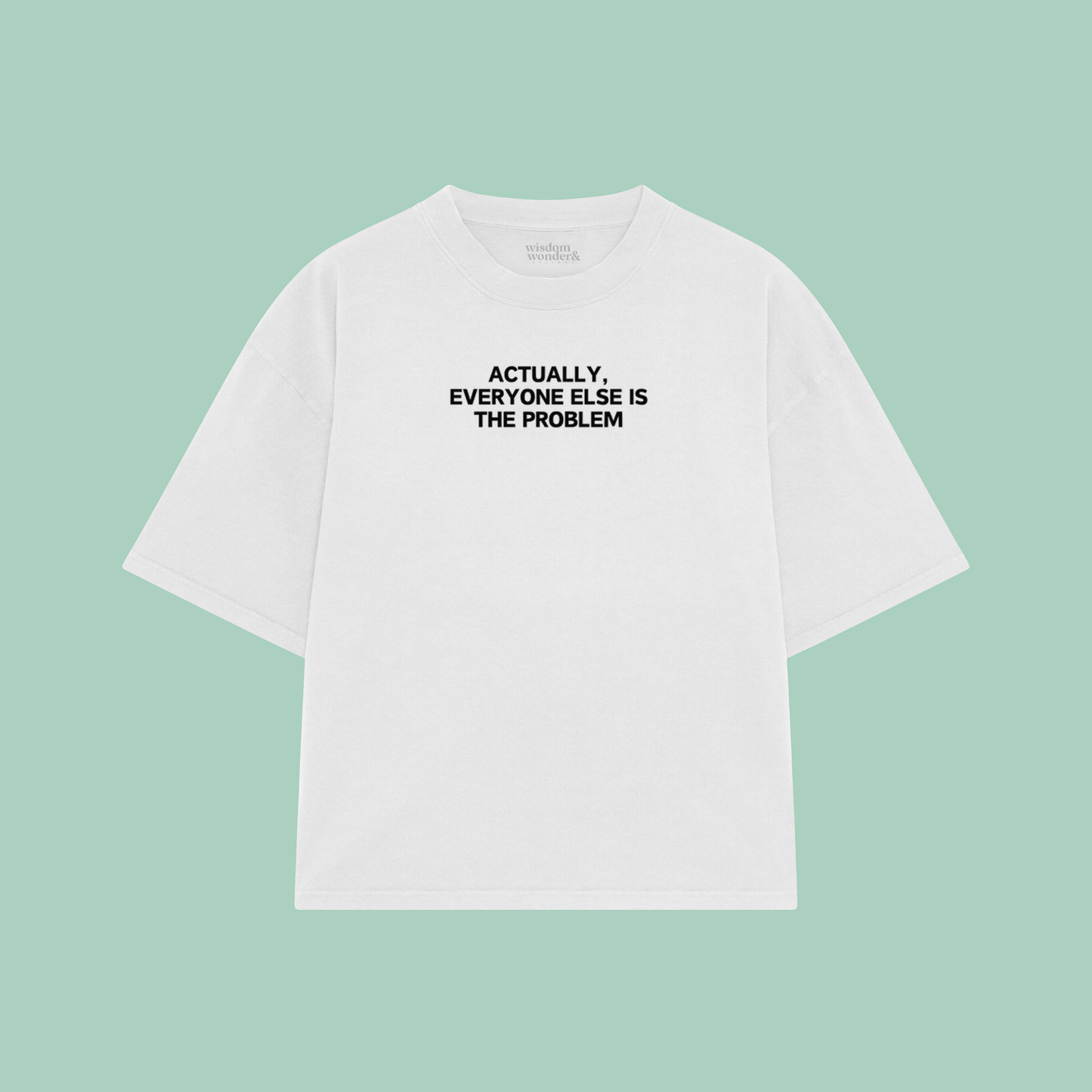 Actually, Everyone Else Is The Problem | Boxy T Shirt