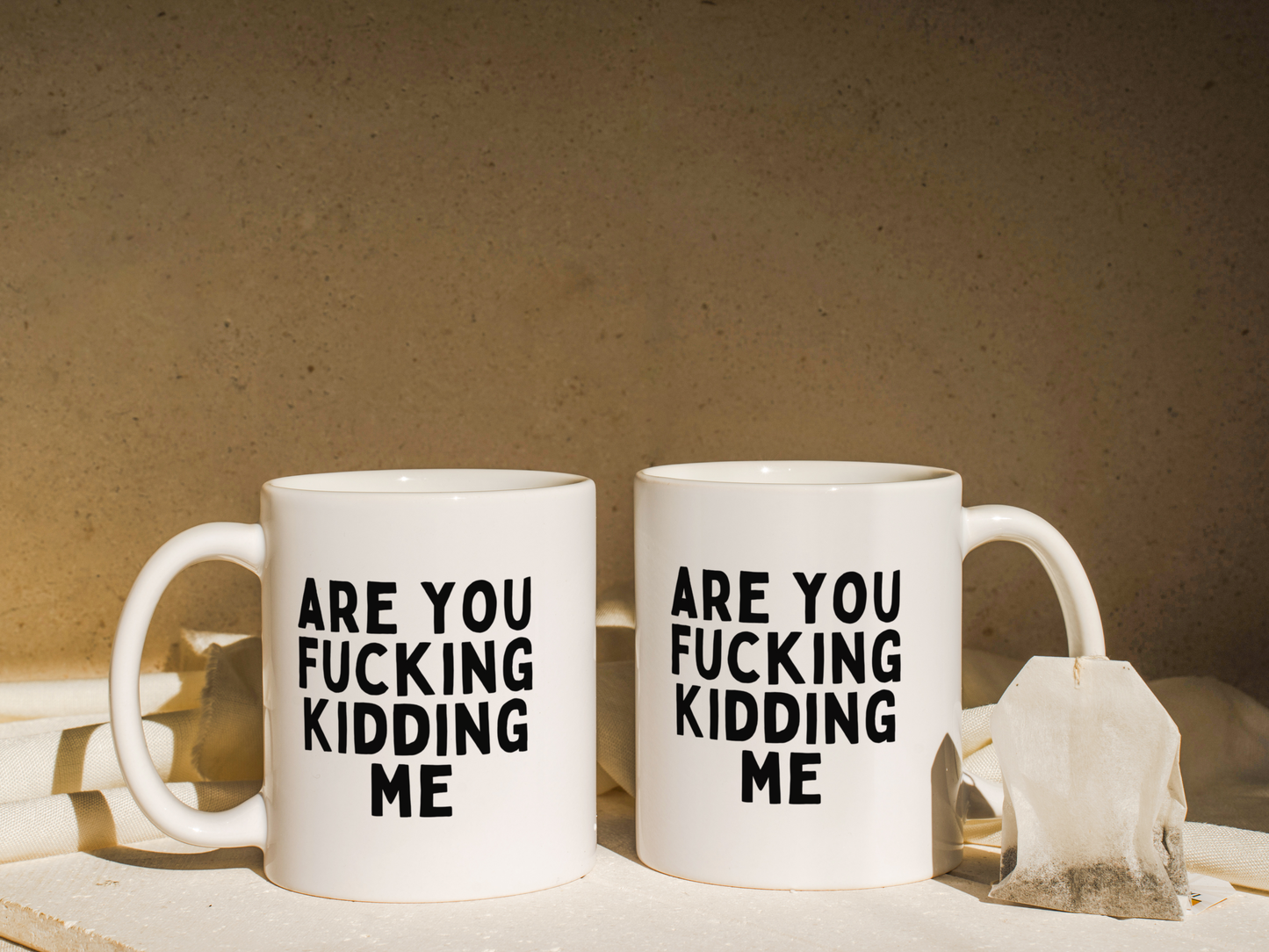 Are You Fucking Kidding Me | Mug