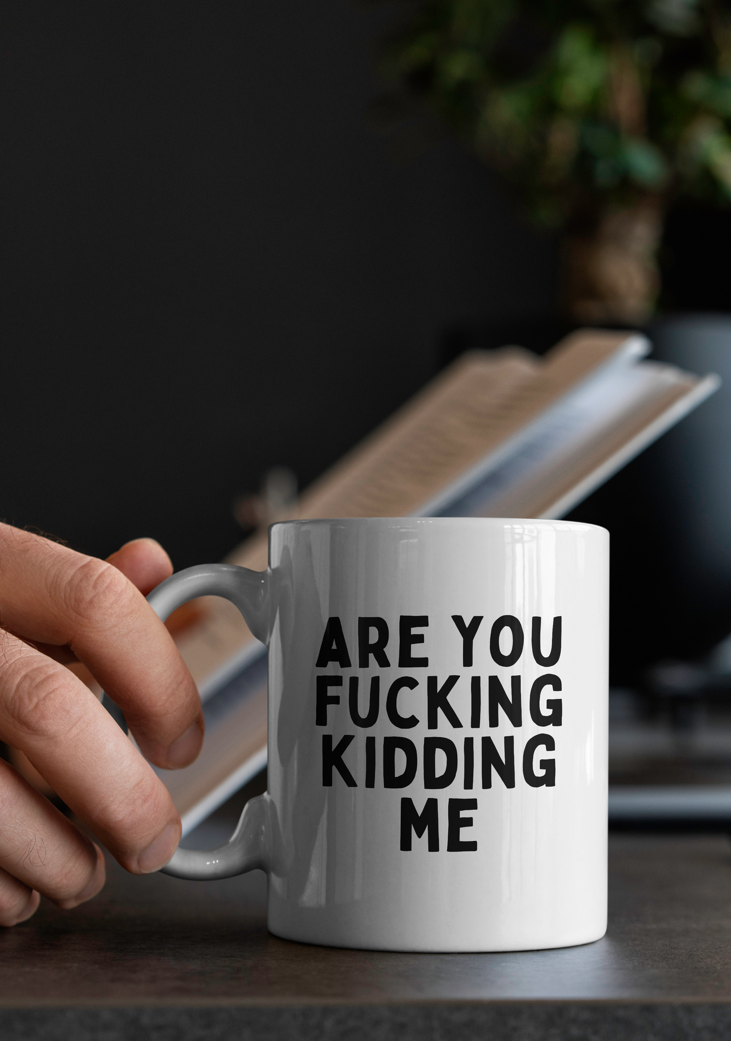 Are You Fucking Kidding Me | Mug