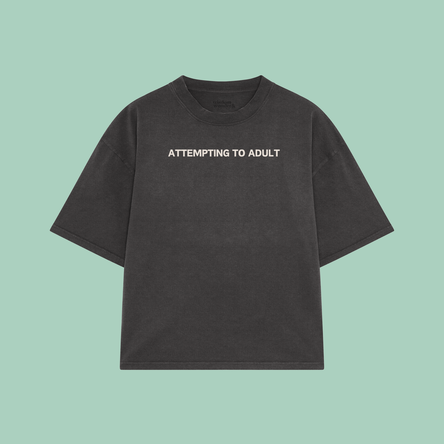 Attempting To Adult | Boxy T Shirt