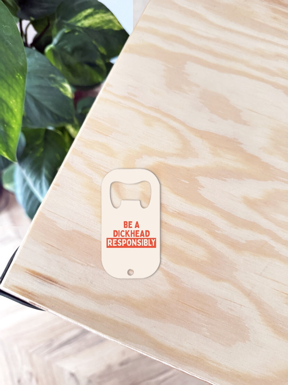 Be A Dickhead Responsibly | Bottle Opener