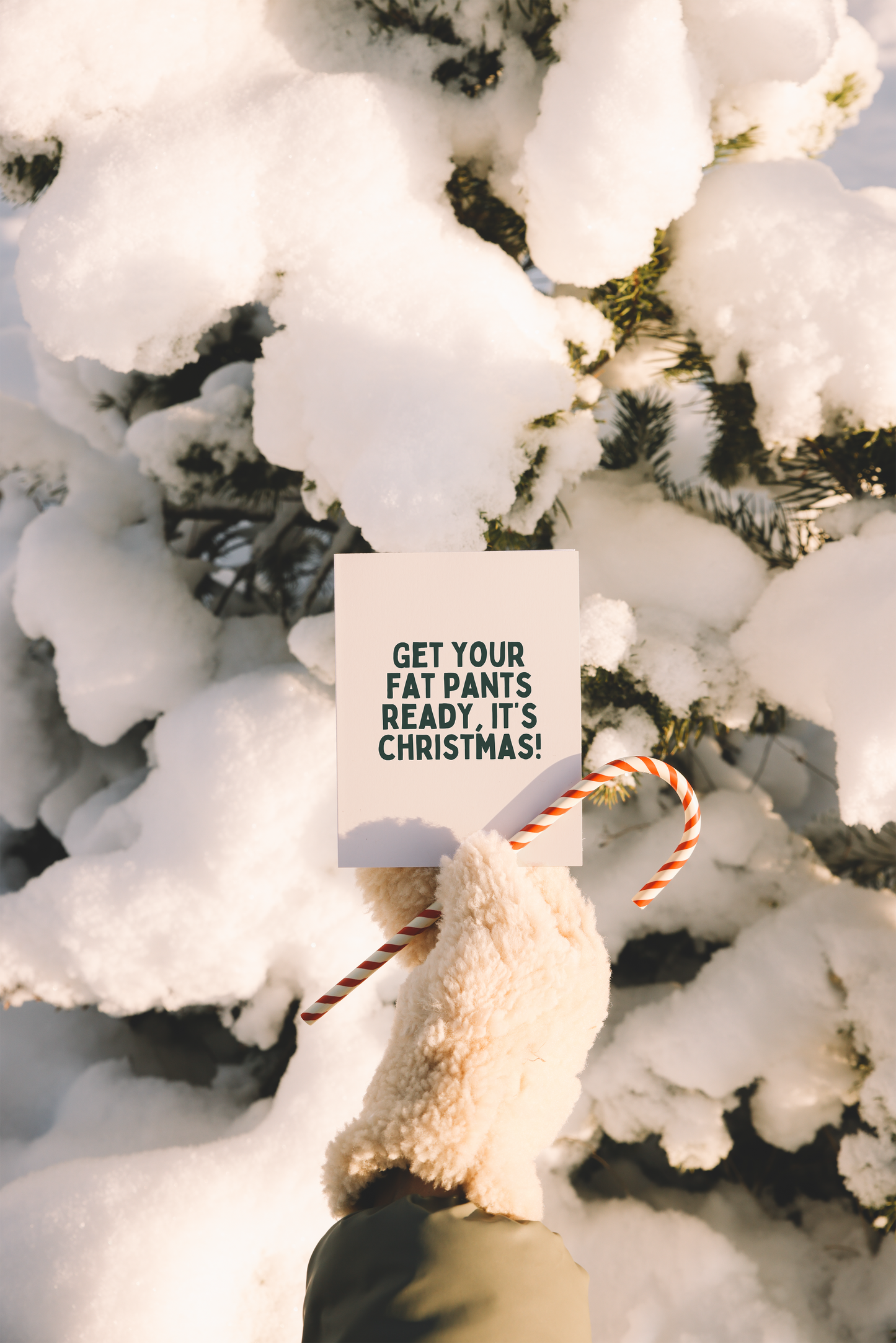 Get Your Fat Pants Ready, It's Christmas! | Christmas Card