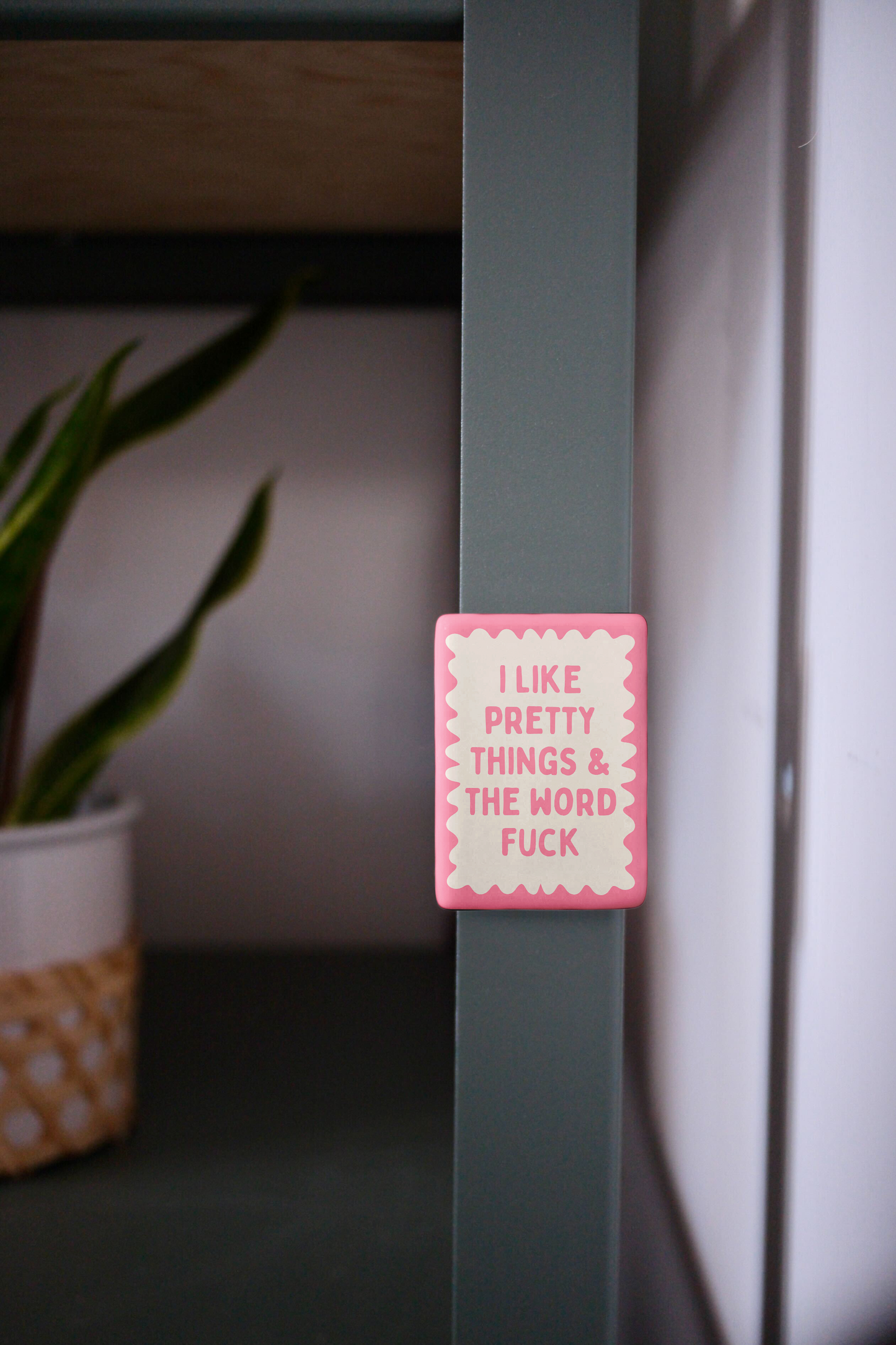 I Like Pretty Things & The Word Fuck | Ceramic Magnet