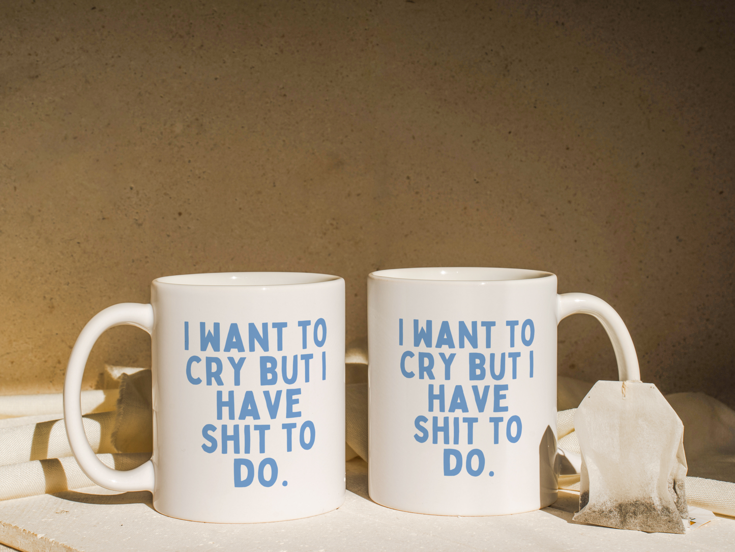 I Want To Cry But I Have Shit To Do | Mug