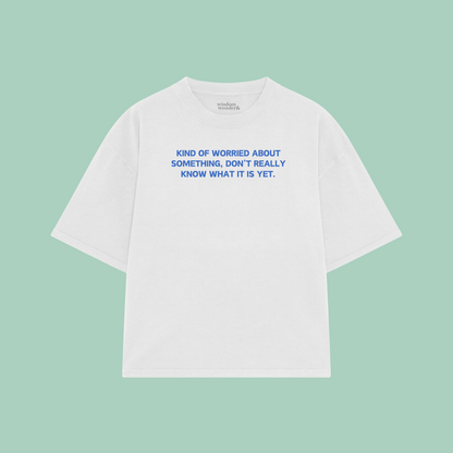 Kind Of Worried About Something | Boxy T Shirt