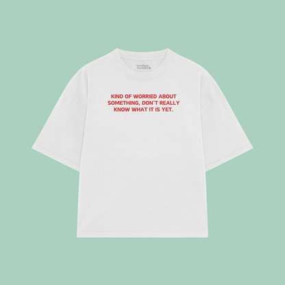 Kind Of Worried About Something | Boxy T Shirt