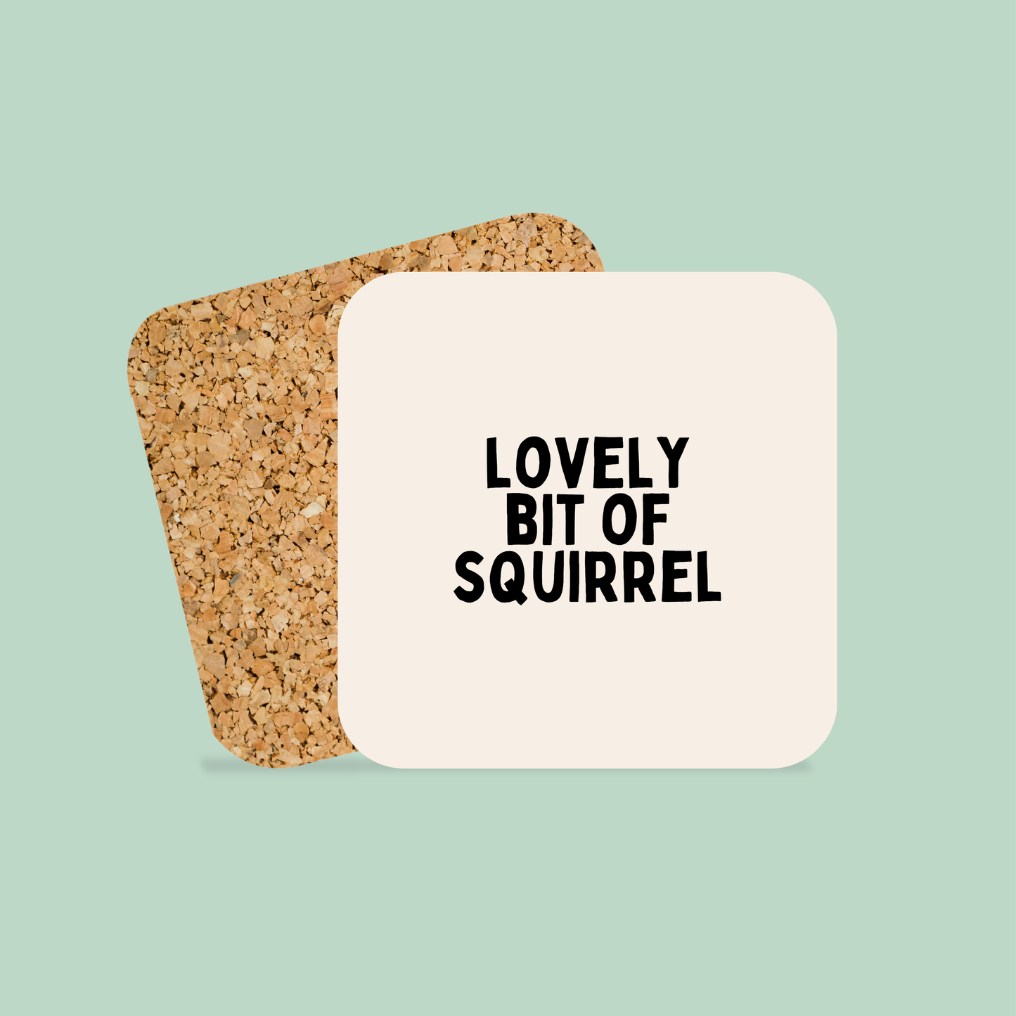 Lovely Bit Of Squirrel | Coaster
