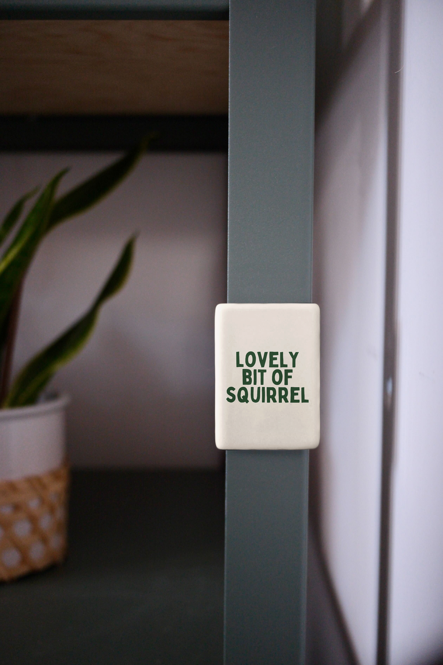 Lovely Bit Of Squirrel | Ceramic Magnet