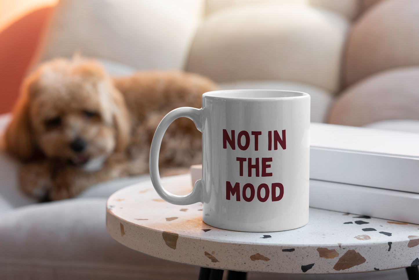 Not In The Mood | Mug