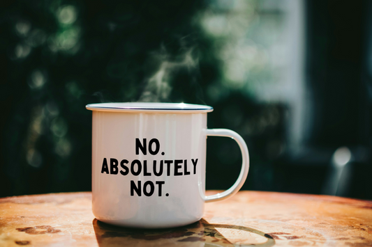 No. Absolutely Not | Enamel Mug
