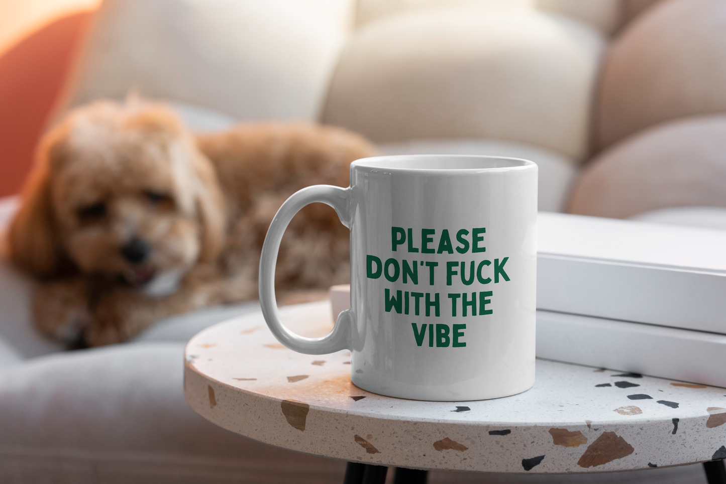 Please Don't Fuck With The Vibes | Mug
