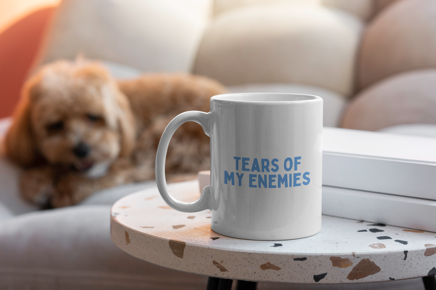 Tears Of My Enemies | Mug