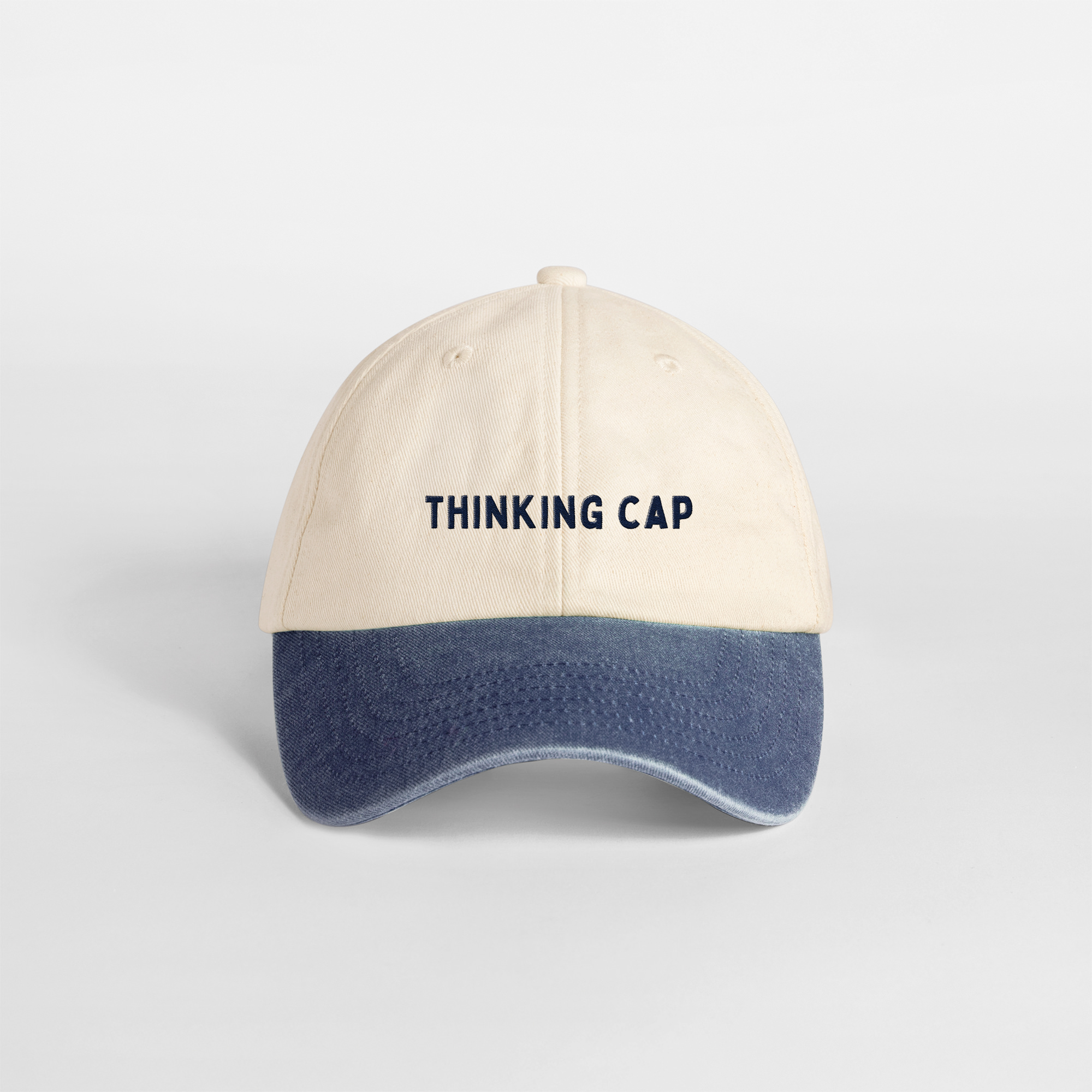 Thinking Cap | Vintage Two Tone Cap