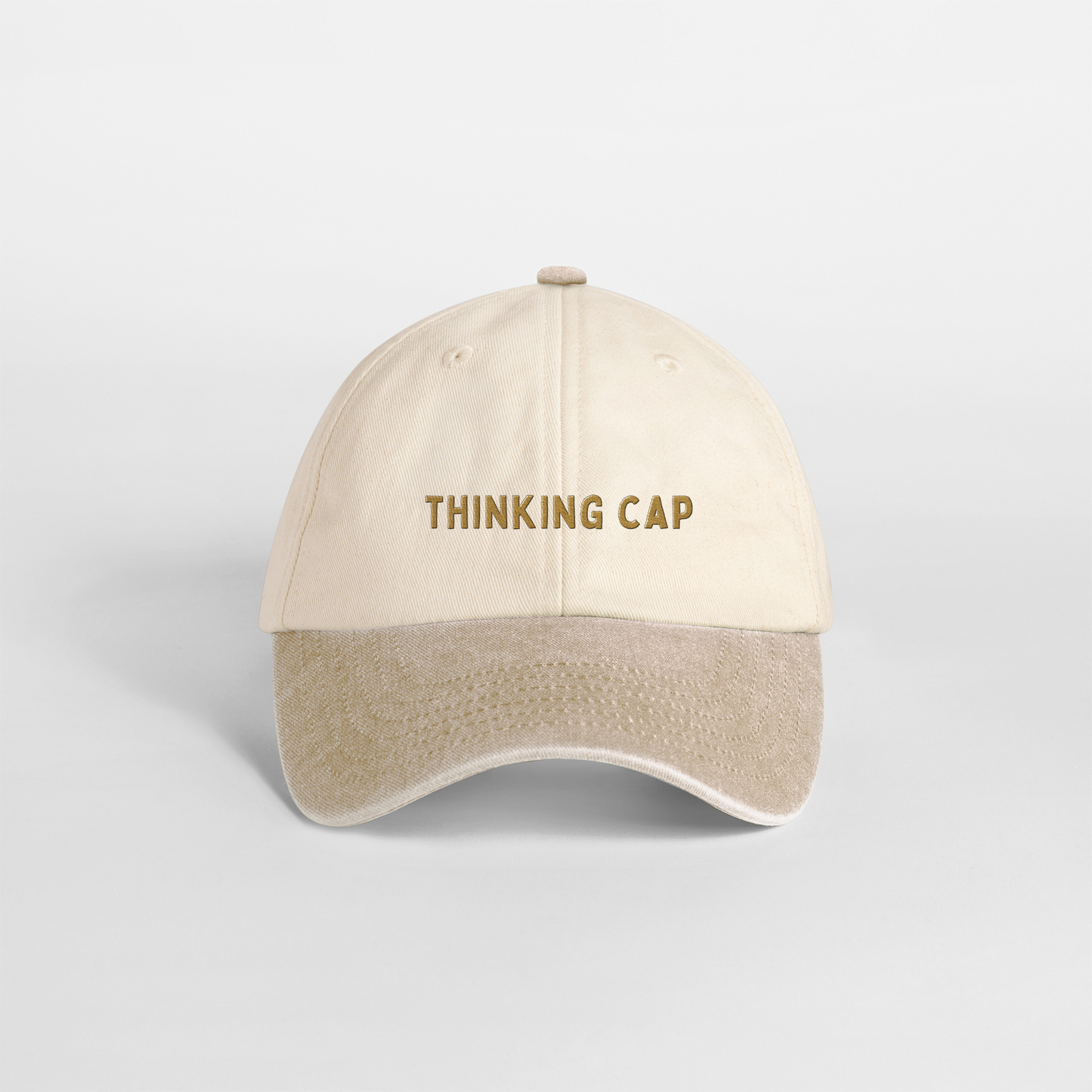 Thinking Cap | Vintage Two Tone Cap