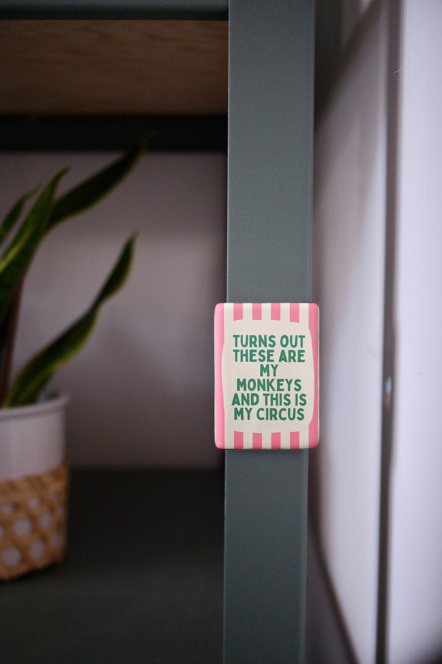 Turns Out These Are My Monkeys | Ceramic Magnet