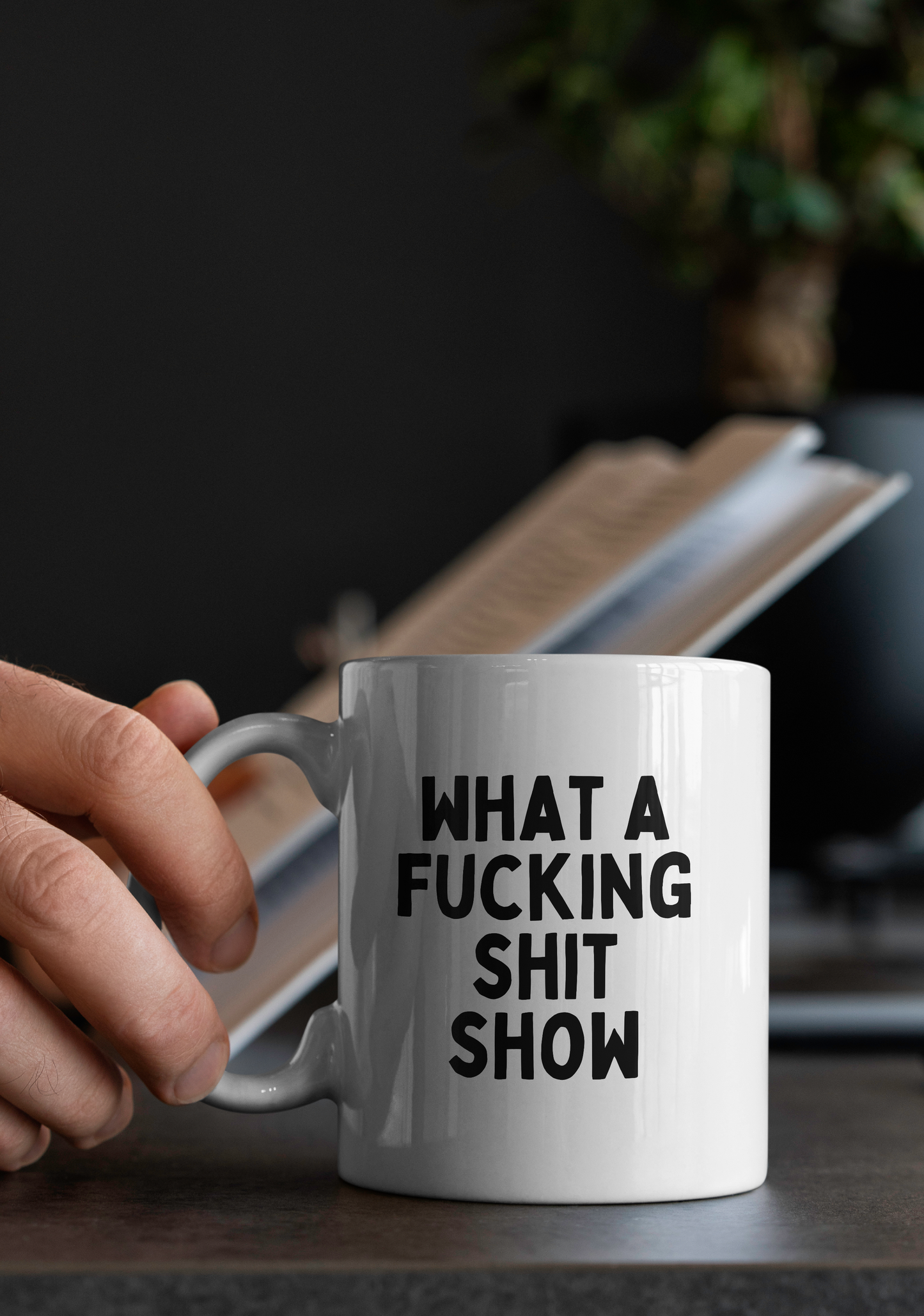 What A Fucking Shit Show | Mug