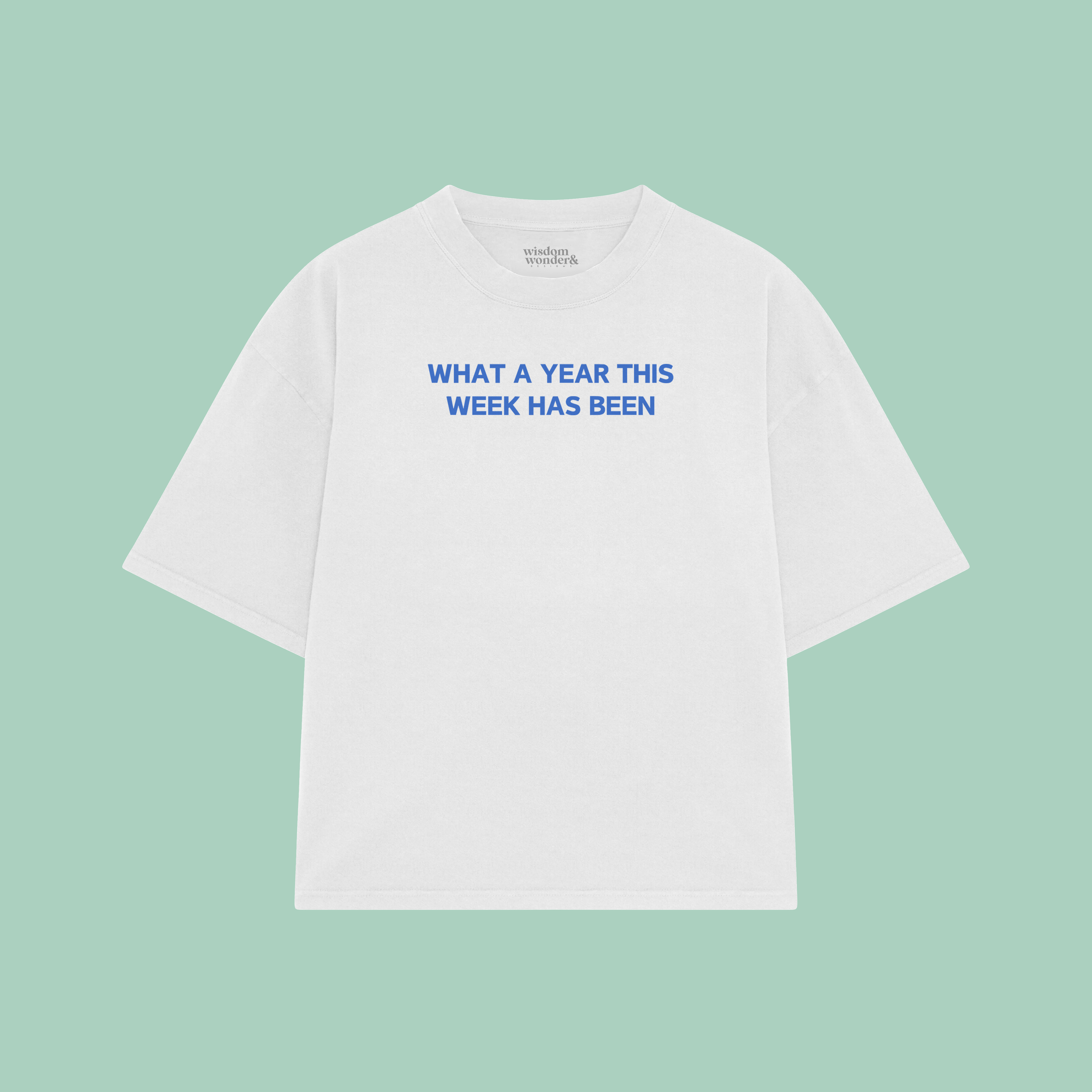 What A Year This Week Has Been | Boxy T Shirt