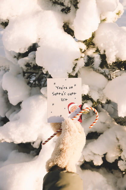 You're On Santa's Cunt List | Christmas Card