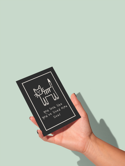 You Look Like You've Lived Nine Lives | Greeting Card