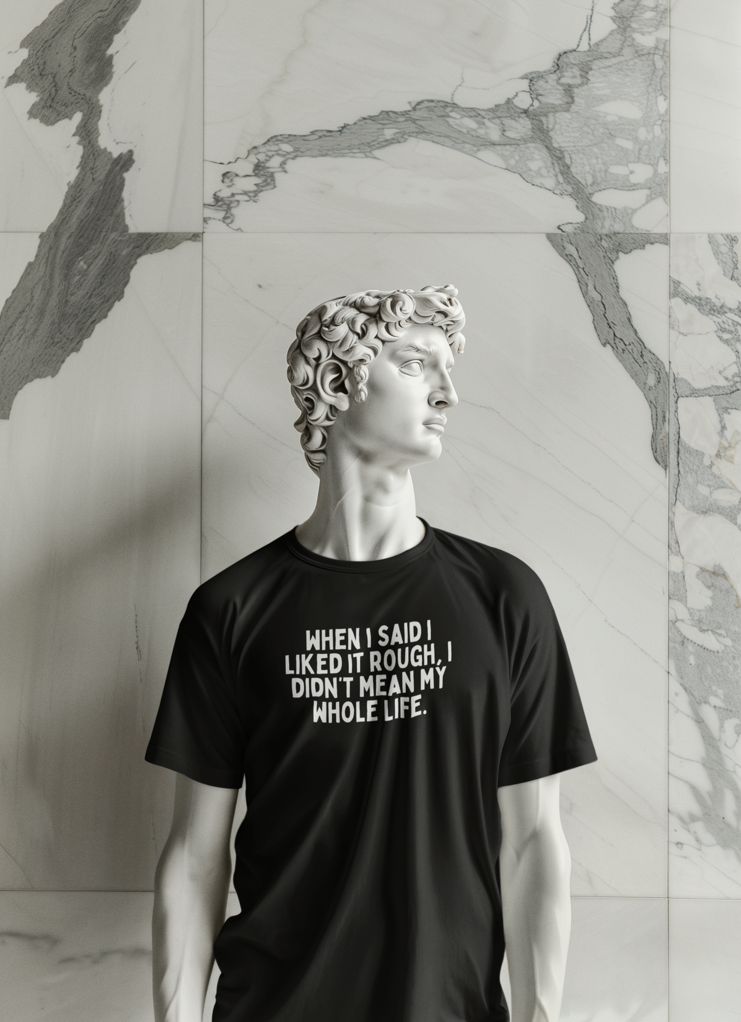 When I Said I Liked It Rough, I Didn't Mean My Whole Life | White Graphic | Organic Unisex T Shirt